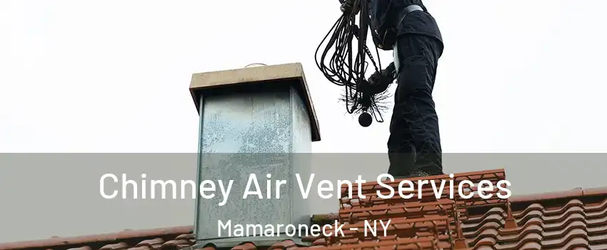  Chimney Air Vent Services Mamaroneck - NY