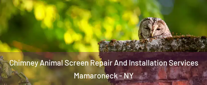  Chimney Animal Screen Repair And Installation Services Mamaroneck - NY