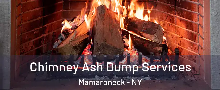  Chimney Ash Dump Services Mamaroneck - NY