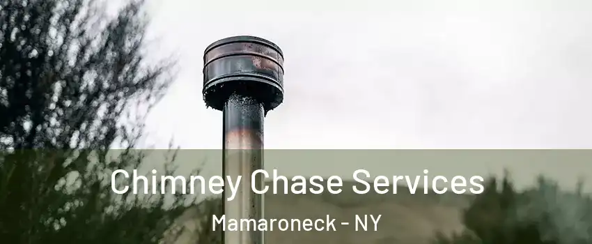  Chimney Chase Services Mamaroneck - NY