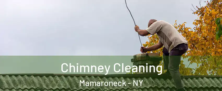  Chimney Cleaning Mamaroneck - NY
