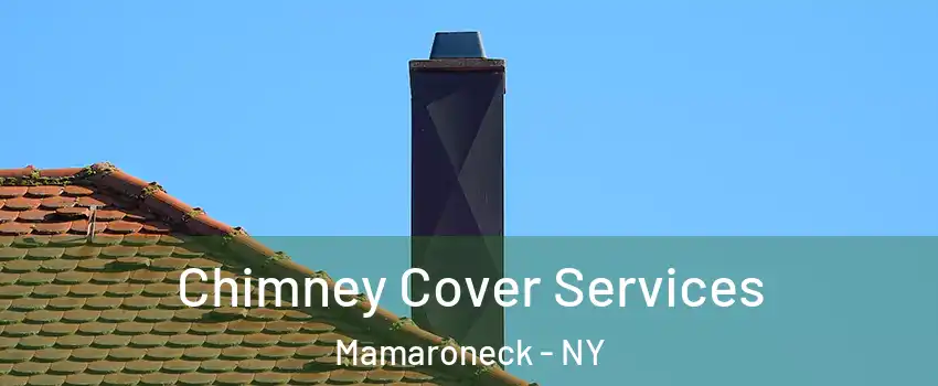  Chimney Cover Services Mamaroneck - NY