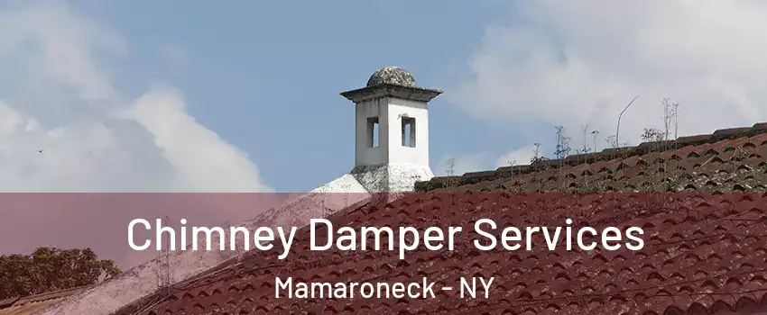  Chimney Damper Services Mamaroneck - NY