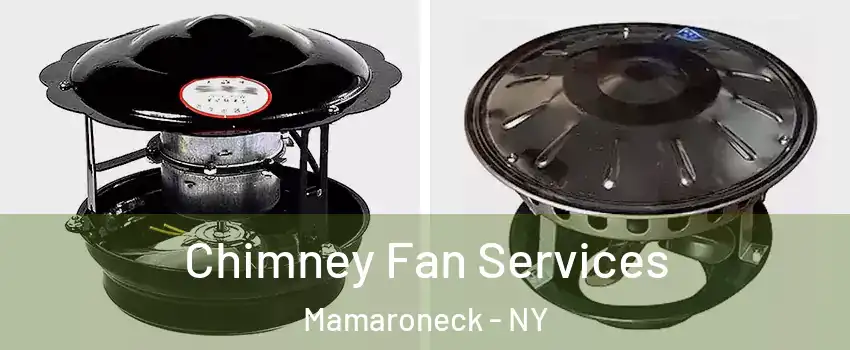  Chimney Fan Services Mamaroneck - NY