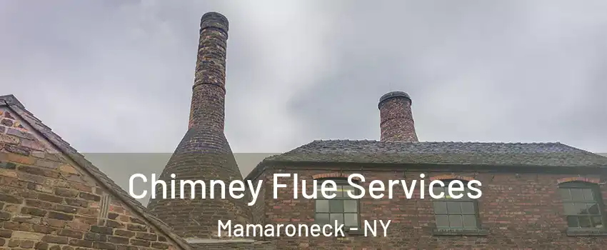  Chimney Flue Services Mamaroneck - NY