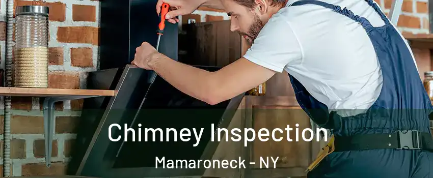  Chimney Inspection Mamaroneck - NY