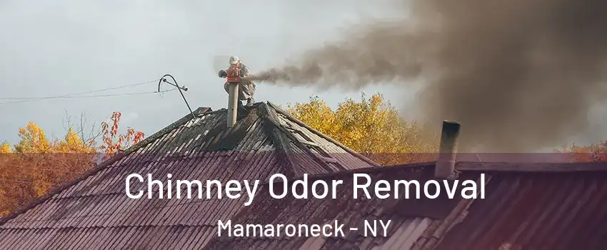  Chimney Odor Removal Mamaroneck - NY