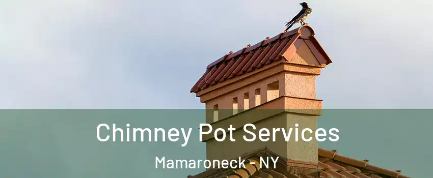 Chimney Pot Services Mamaroneck - NY