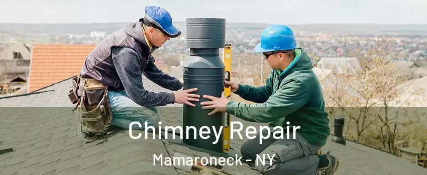  Chimney Repair Mamaroneck - NY