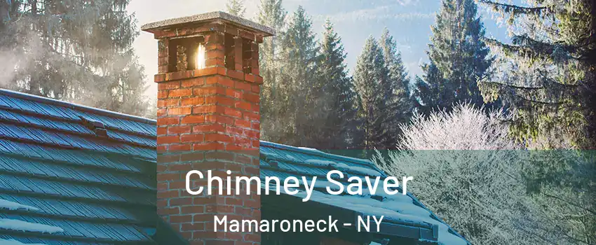  Chimney Saver Mamaroneck - NY