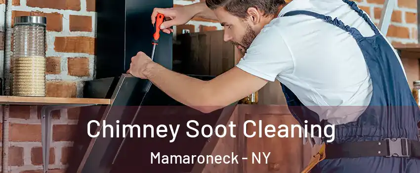  Chimney Soot Cleaning Mamaroneck - NY