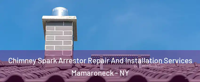 Chimney Spark Arrestor Repair And Installation Services Mamaroneck - NY