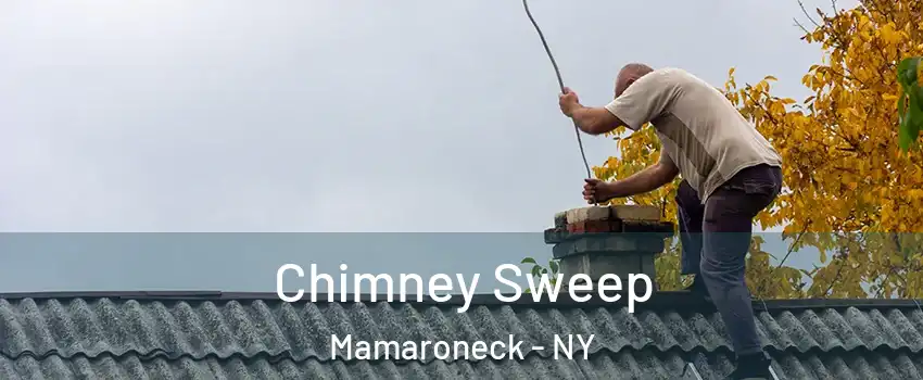  Chimney Sweep Mamaroneck - NY