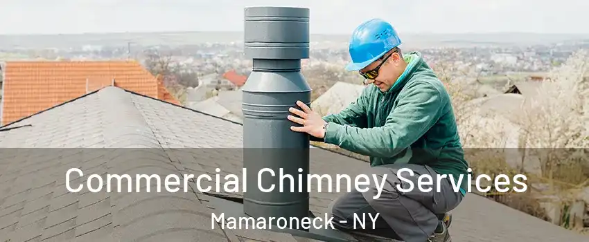  Commercial Chimney Services Mamaroneck - NY