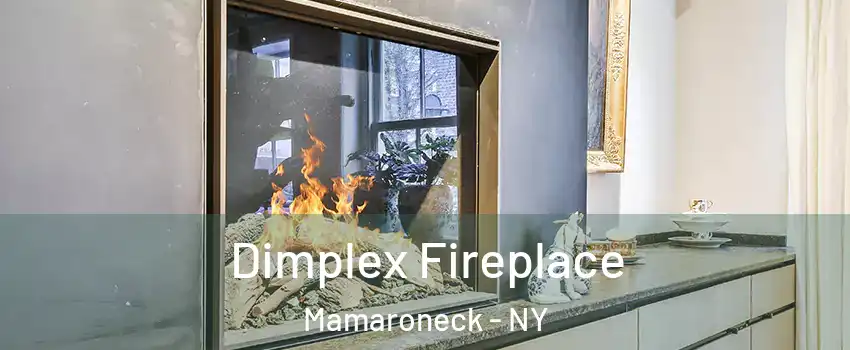  Dimplex Fireplace Mamaroneck - NY