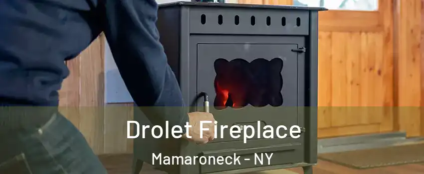  Drolet Fireplace Mamaroneck - NY