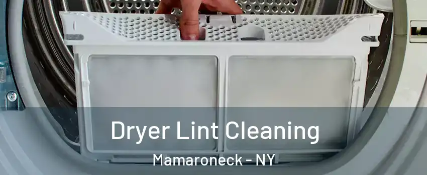  Dryer Lint Cleaning Mamaroneck - NY