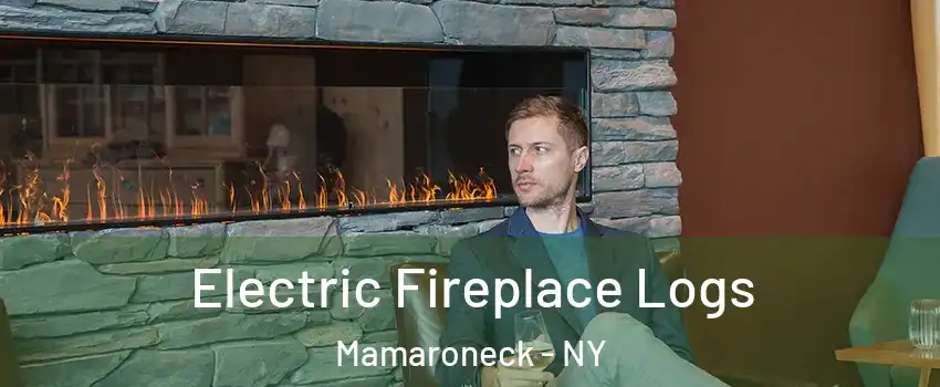  Electric Fireplace Logs Mamaroneck - NY