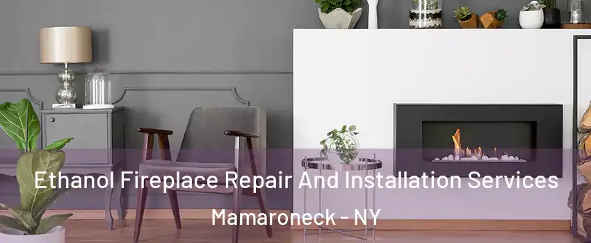  Ethanol Fireplace Repair And Installation Services Mamaroneck - NY