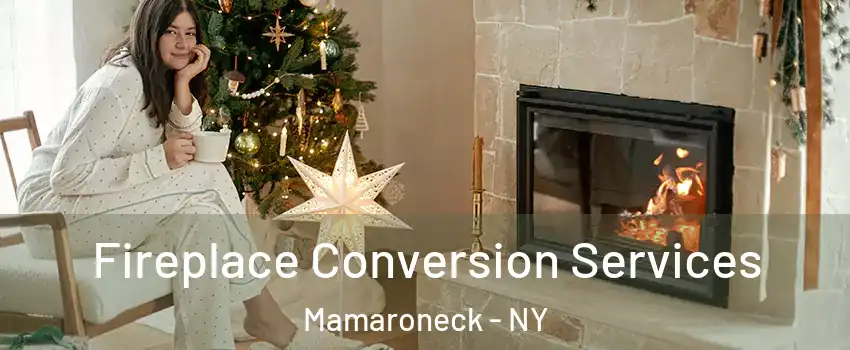  Fireplace Conversion Services Mamaroneck - NY