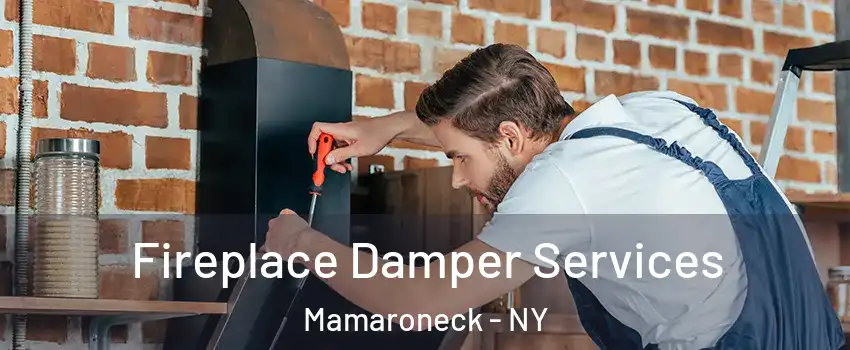  Fireplace Damper Services Mamaroneck - NY