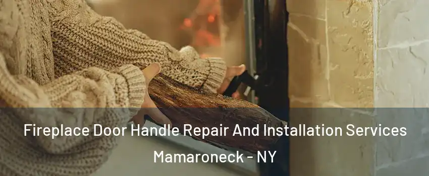  Fireplace Door Handle Repair And Installation Services Mamaroneck - NY