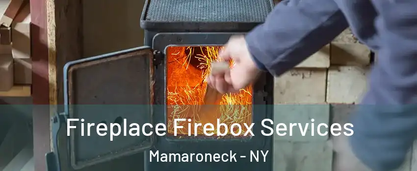  Fireplace Firebox Services Mamaroneck - NY