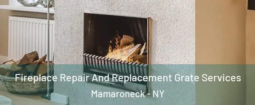  Fireplace Repair And Replacement Grate Services Mamaroneck - NY