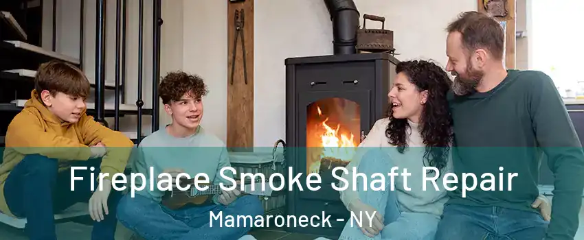  Fireplace Smoke Shaft Repair Mamaroneck - NY