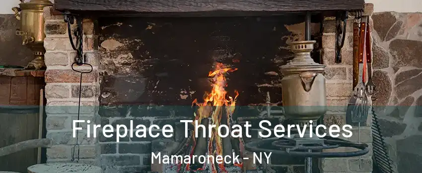  Fireplace Throat Services Mamaroneck - NY