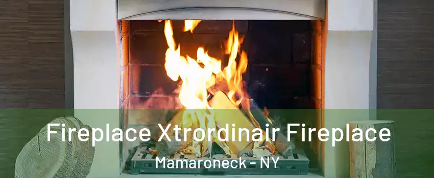  Fireplace Xtrordinair Fireplace Mamaroneck - NY