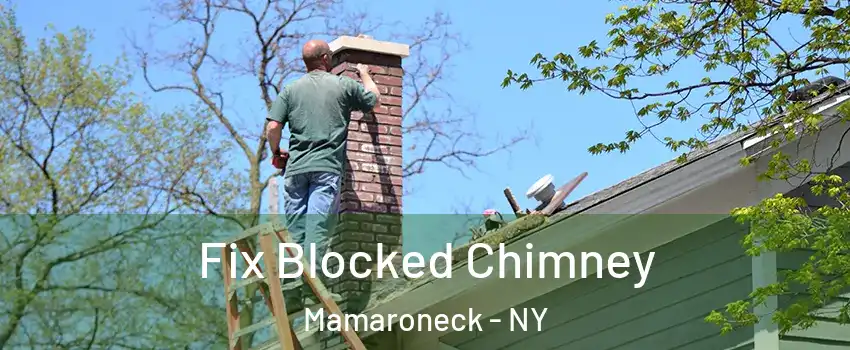  Fix Blocked Chimney Mamaroneck - NY