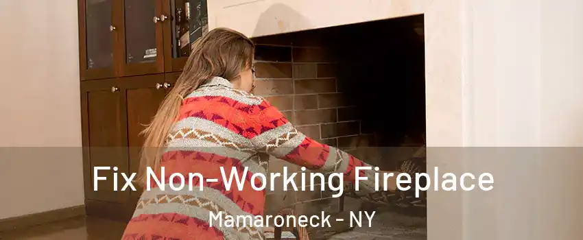  Fix Non-Working Fireplace Mamaroneck - NY