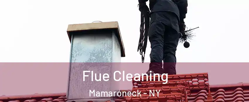  Flue Cleaning Mamaroneck - NY