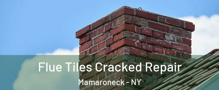  Flue Tiles Cracked Repair Mamaroneck - NY