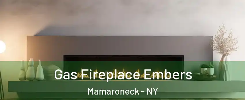  Gas Fireplace Embers Mamaroneck - NY