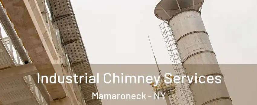  Industrial Chimney Services Mamaroneck - NY