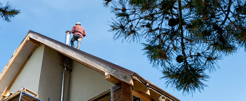 Birds Removal Contractors from Chimney in Mamaroneck, NY