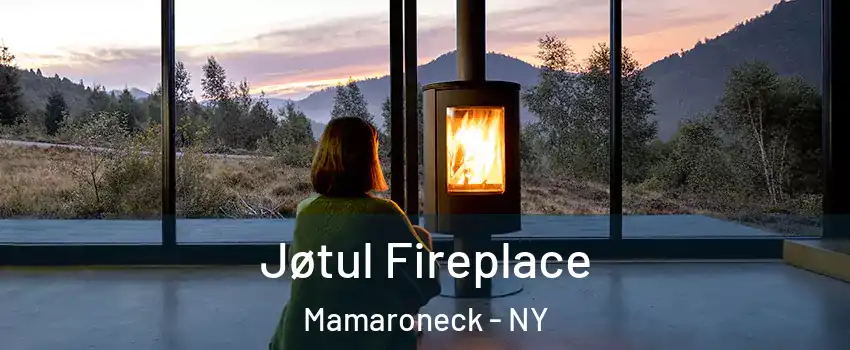  Jøtul Fireplace Mamaroneck - NY