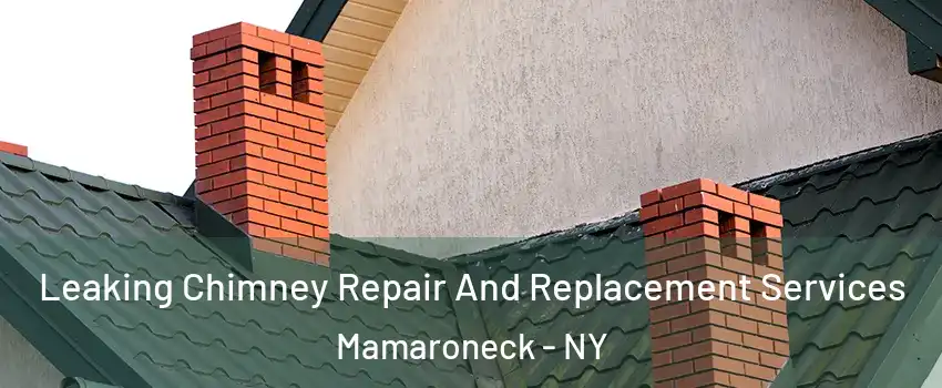  Leaking Chimney Repair And Replacement Services Mamaroneck - NY