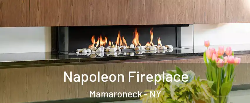  Napoleon Fireplace Mamaroneck - NY