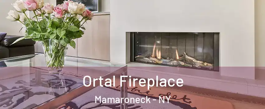  Ortal Fireplace Mamaroneck - NY