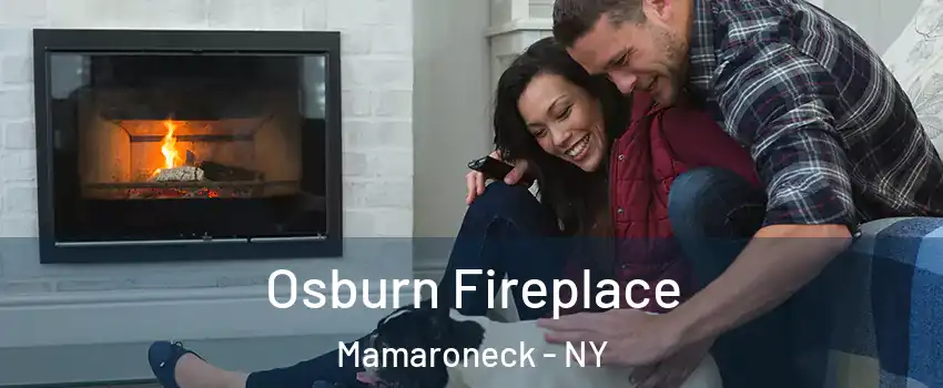  Osburn Fireplace Mamaroneck - NY