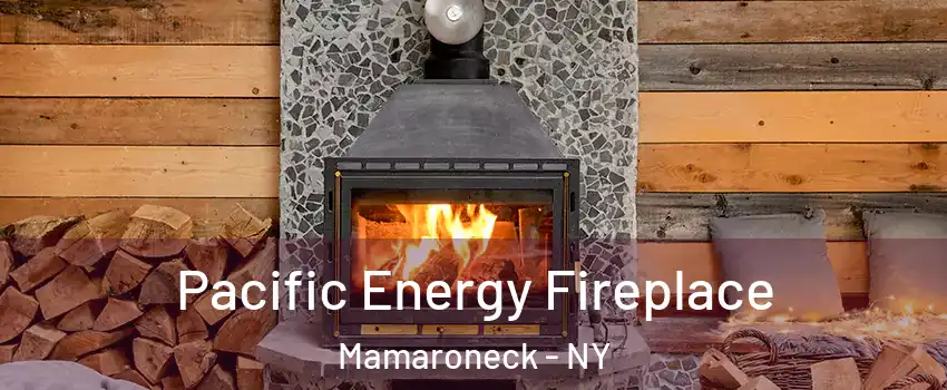  Pacific Energy Fireplace Mamaroneck - NY