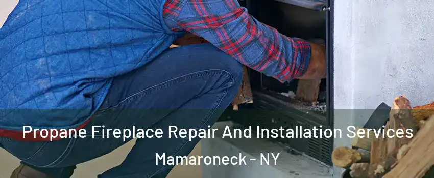  Propane Fireplace Repair And Installation Services Mamaroneck - NY