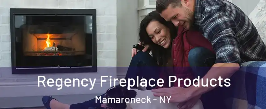  Regency Fireplace Products Mamaroneck - NY