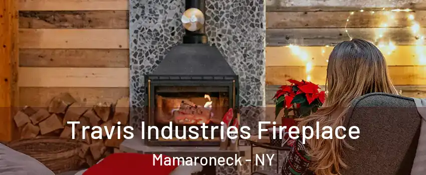  Travis Industries Fireplace Mamaroneck - NY
