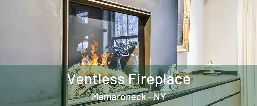  Ventless Fireplace Mamaroneck - NY