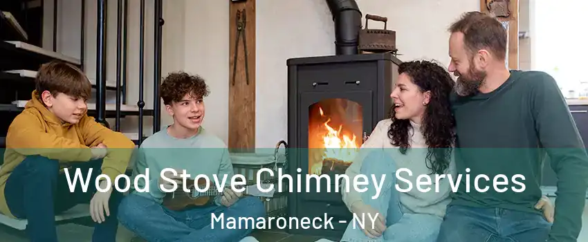  Wood Stove Chimney Services Mamaroneck - NY